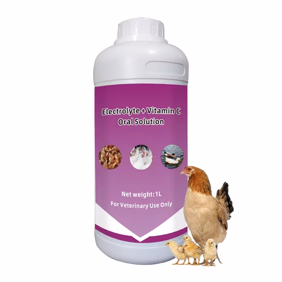 Suplementos para animales de grado alimenticio de alta calidad 10 B Probióticos al por mayor Bacillus Subtilis Acuicultura Probiótico en polvo