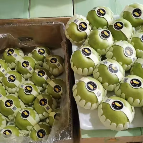 Manzanas orgánicas de alta calidad Made in Italy 