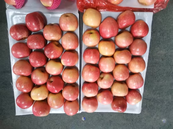 Manzana natural Fruta roja fresca FUJI Manzanas frescas a granel Fruta de China