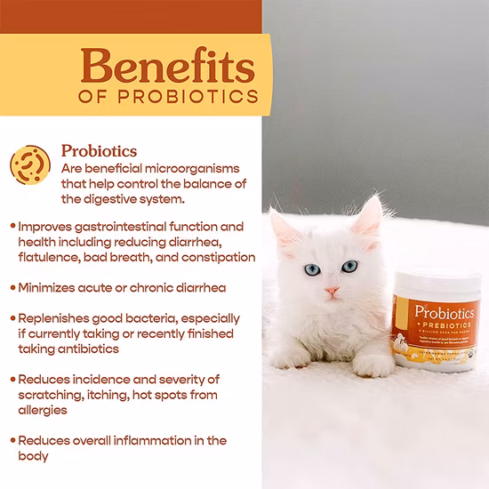 Suplemento para el cuidado de la salud Probióticos de calostro en polvo para gatos y perros OEM