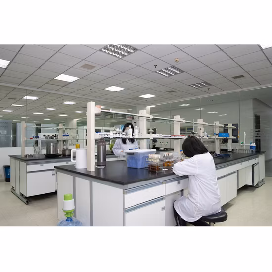 Ingredientes alimentarios Fructosa Oligosaccharide Fos Polvo Buenos probióticos